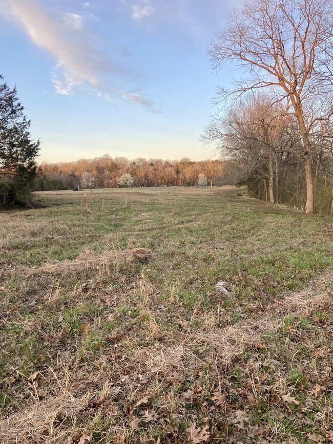 2525 Verona Caney Rd, Lewisburg, TN 37091 - photo 2