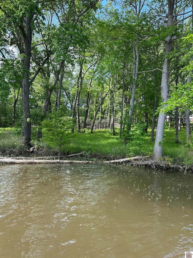 Lot 11 Lovers Ln unit SASSY LAND SUBDV, Benton, KY 42025 - photo 6