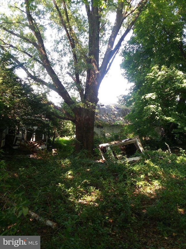 23001 Ridge Rd, Germantown, MD 20876 - photo 5