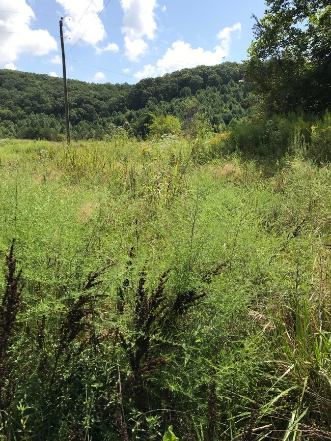 Jim Davis Rd Pic 11