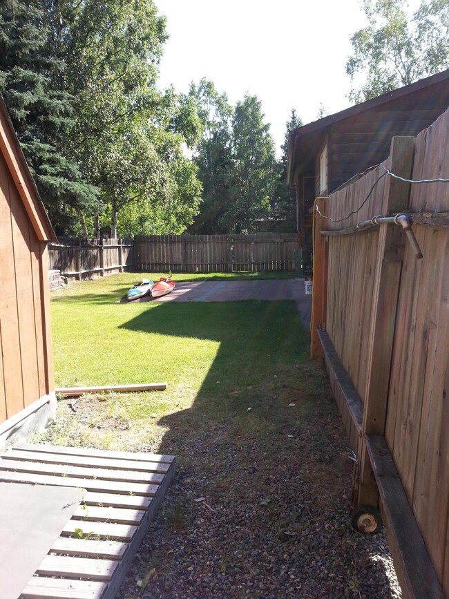 back yard