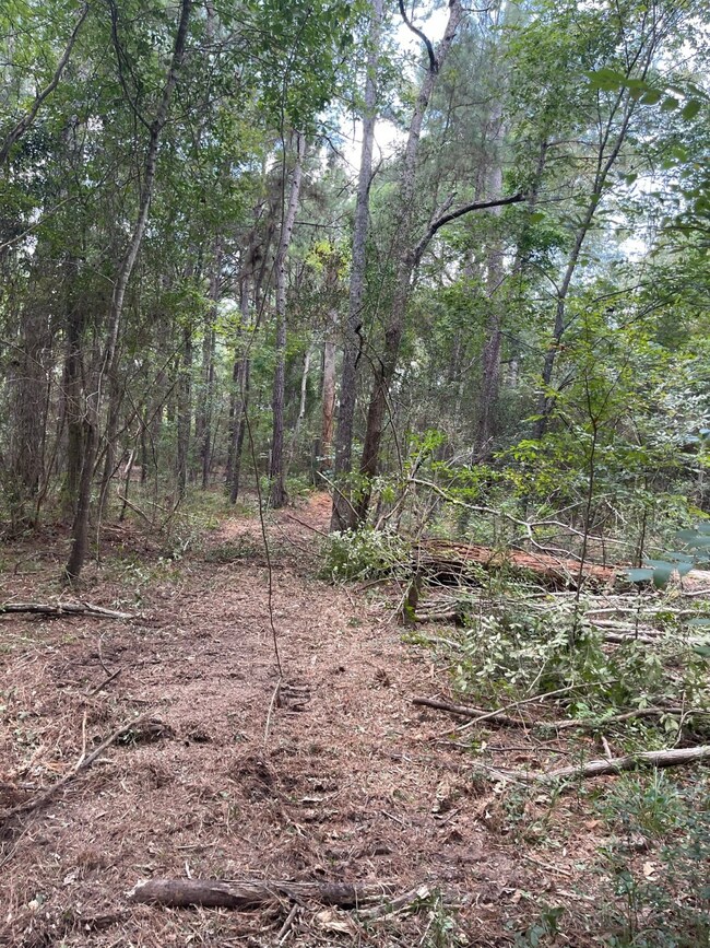 22425 Roberts Cemetery Rd, Hockley, TX 77447 - photo 5
