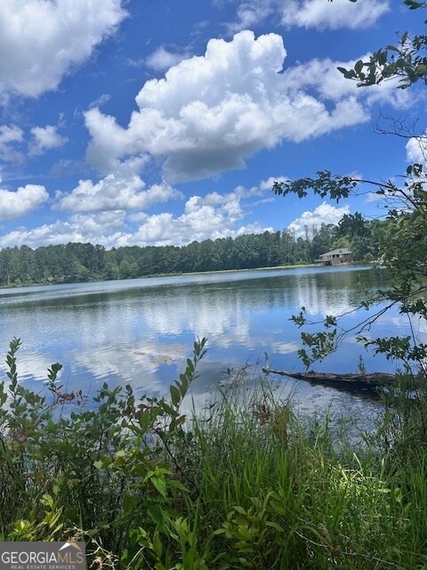 0 Ga Hwy 34 W unit 21 10564723, Newnan, GA 30263 - photo 4