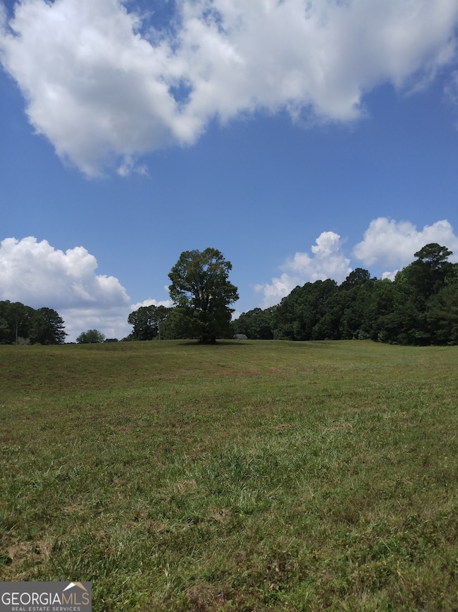 0 Hawkins Academy Rd unit 10561655, Social Circle, GA 30025 - photo 3