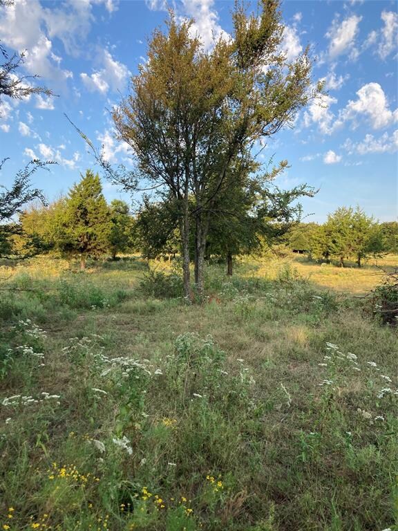 CR 113 County Road 113, Whitesboro, TX 76273 - photo 4