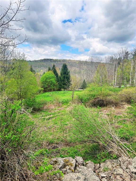 0 Sisson Hill Rd unit R1607206, Unadilla, NY 13849 - photo 3