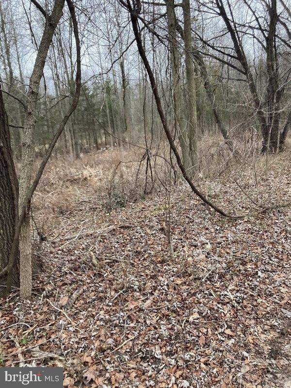 108 Kelly Driver Rd, Clementon, NJ 08021 - photo 4