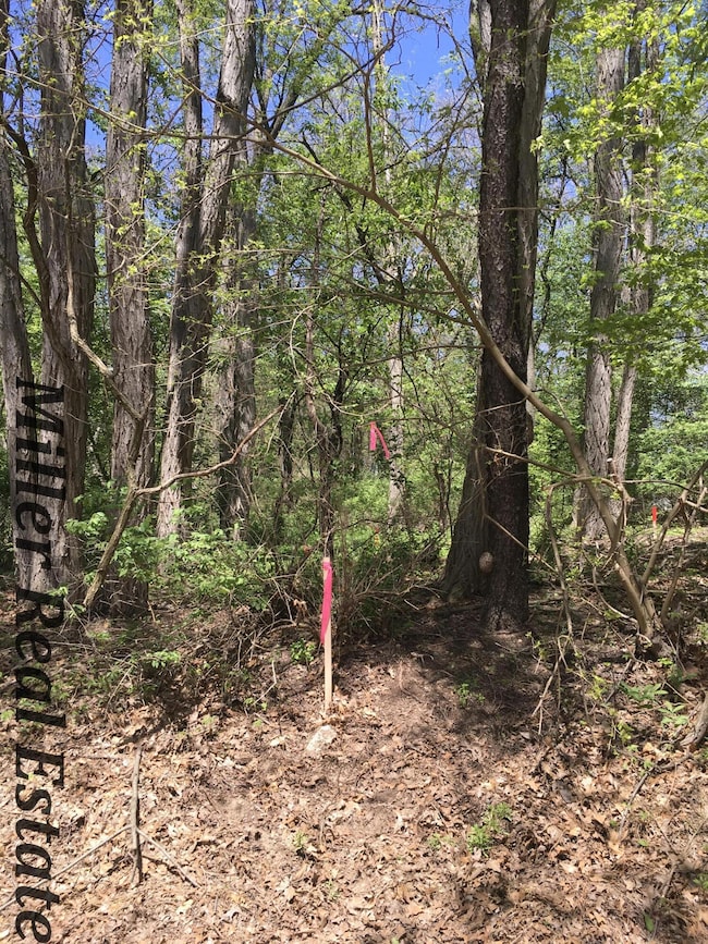 Iroquois Trail-2