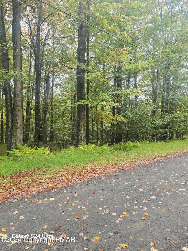 10 Comanche Trail, Pocono Lake, PA 18347 - photo 2