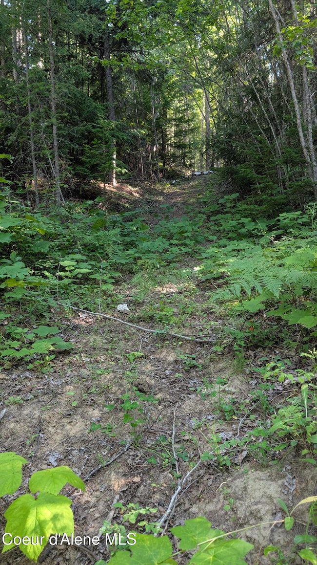 Deep Creek Loop Tract 2 pic 10