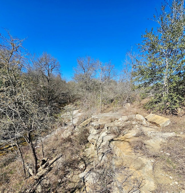 View of nature