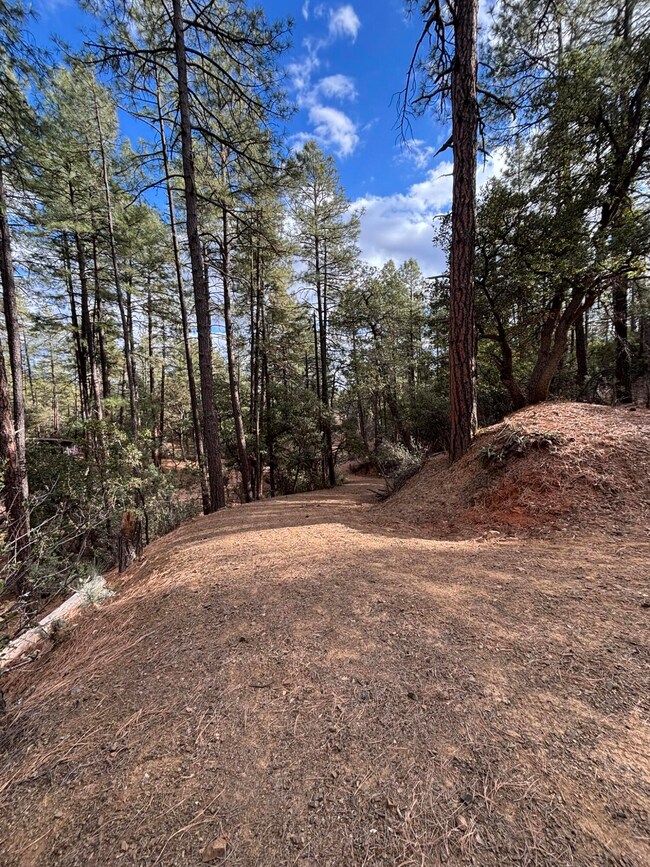 398 B & C Apache Trail, Pine, AZ 85544 - photo 7