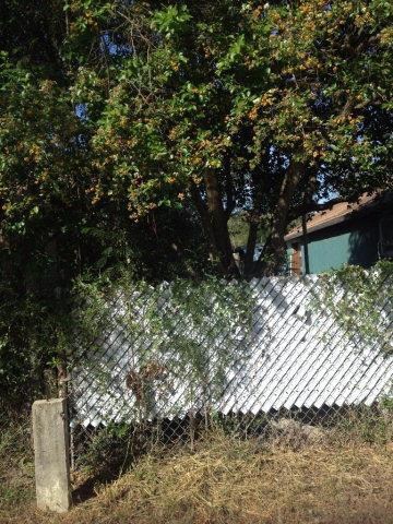 209 Pueblo St, Weslaco, TX 78596 - photo 2