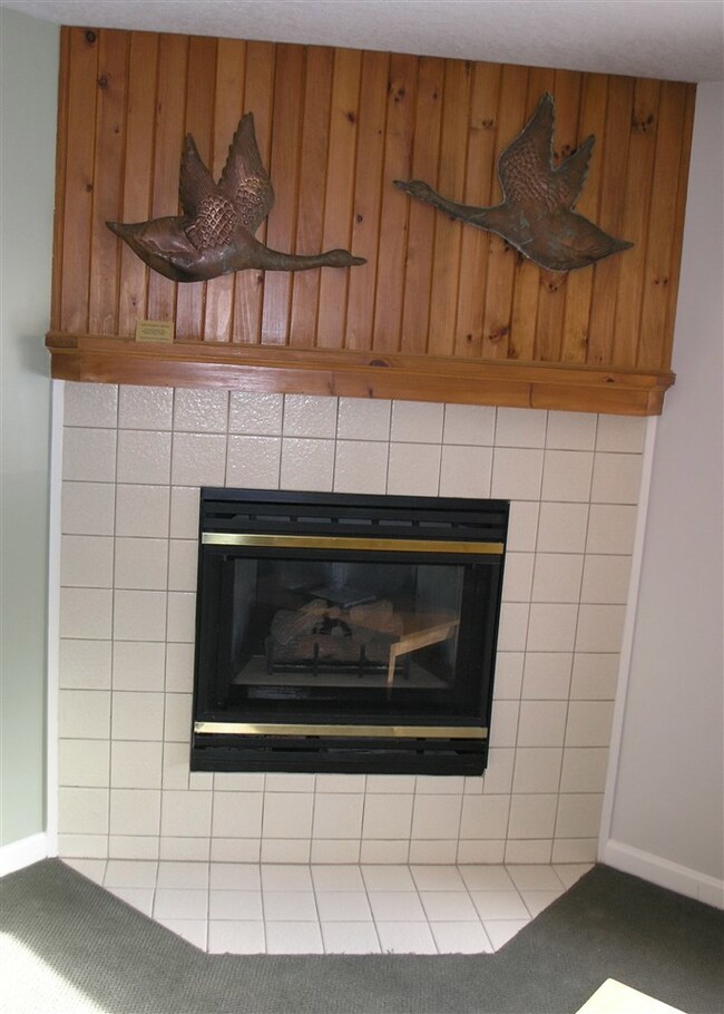 164 Deer Park Dr unit 163 B, Woodstock, NH 03262 - photo 6