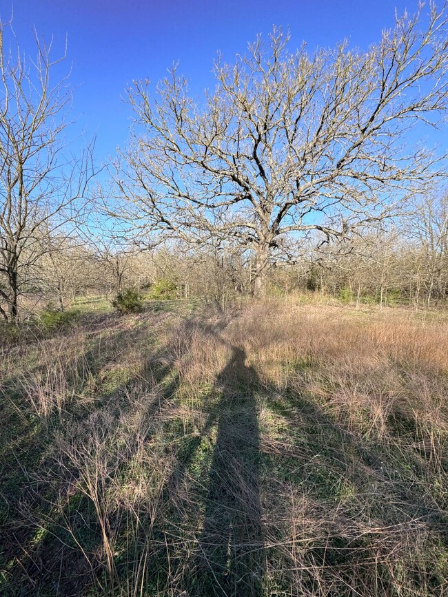 0000 Saskawa, Saskawa, OK 74867 - photo 3