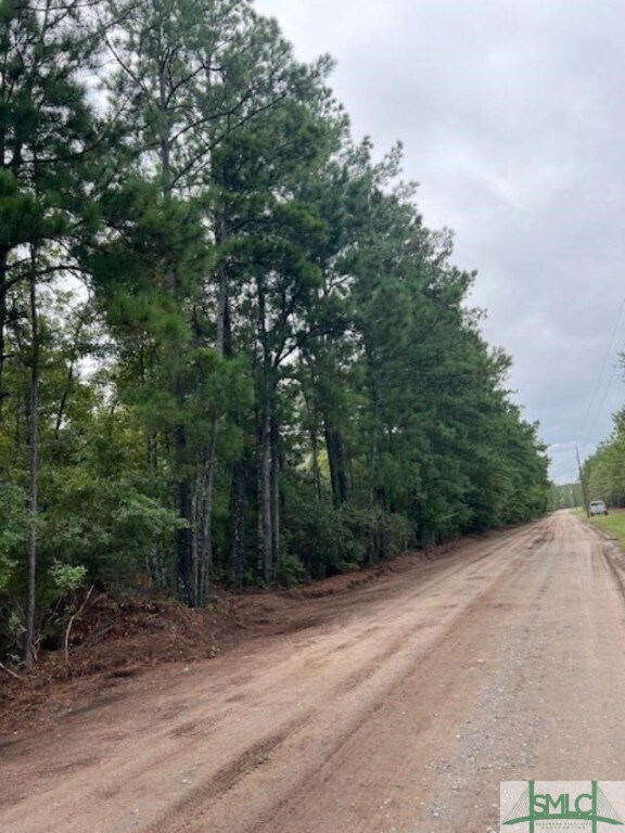 Tract 2 0 Blue Jay Rd, Guyton, GA 31312 - photo 3