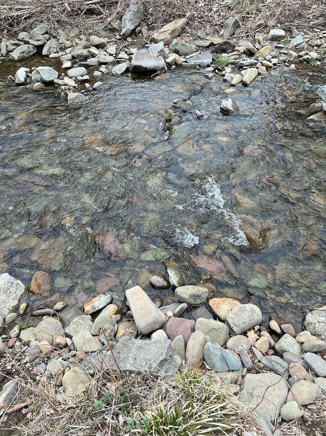 108 Devils Hole Rd, Cresco, PA 18326 - photo 2