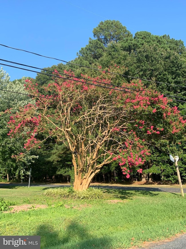 0 Radcliff Ave unit MDTA2007626, Saint Michaels, MD 21663 - photo 7