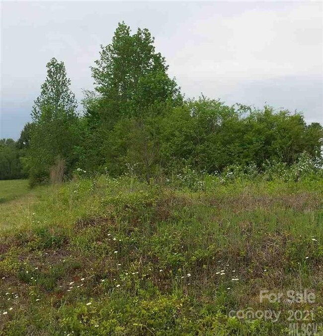 Lot 4 Henry Rd unit 4, Vale, NC 28168 - photo 2