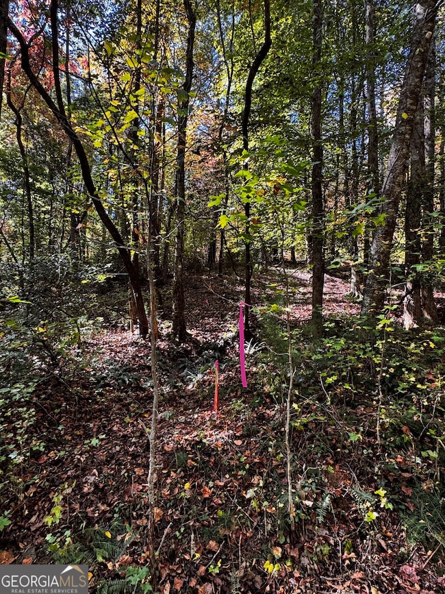 6X Laurelwood, Sautee Nacoochee, GA 30571 - photo 4