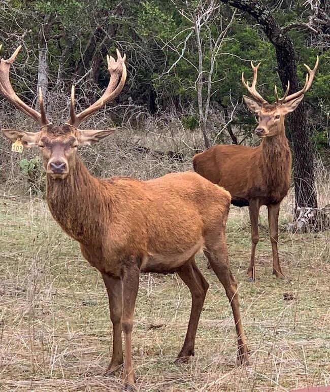TBD Highway 281, Burnet, TX 76550 - photo 2