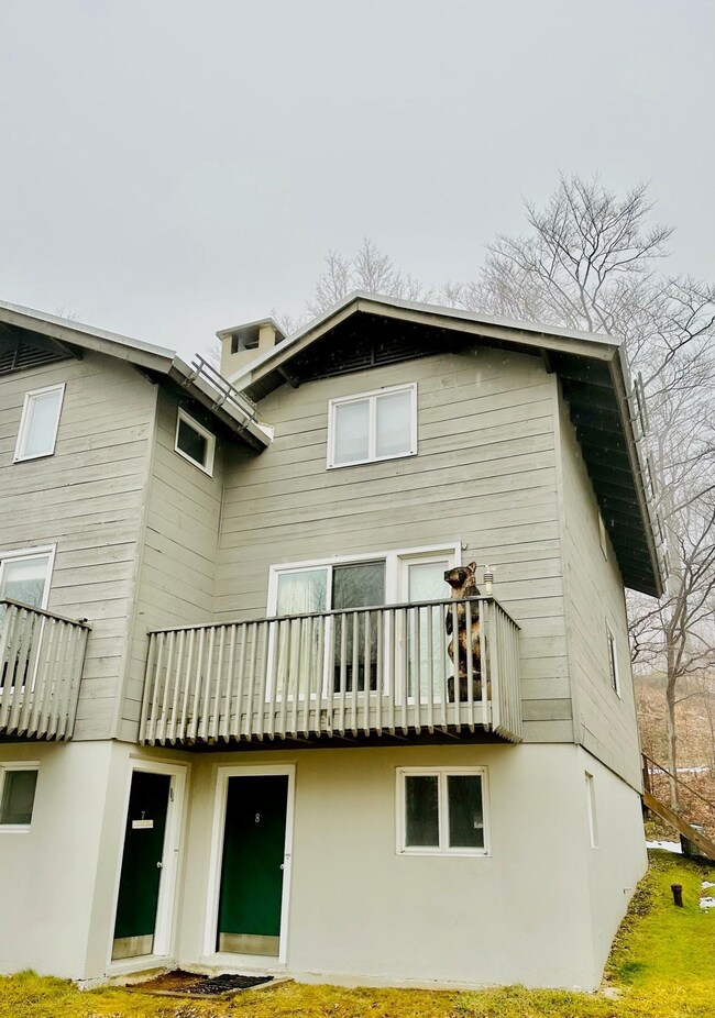 8 Shagbark Rd unit 8, Winhall, VT 05340 - photo 2