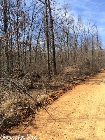 40 Acres County Road 766, Jonesboro, AR 72401 - photo 6