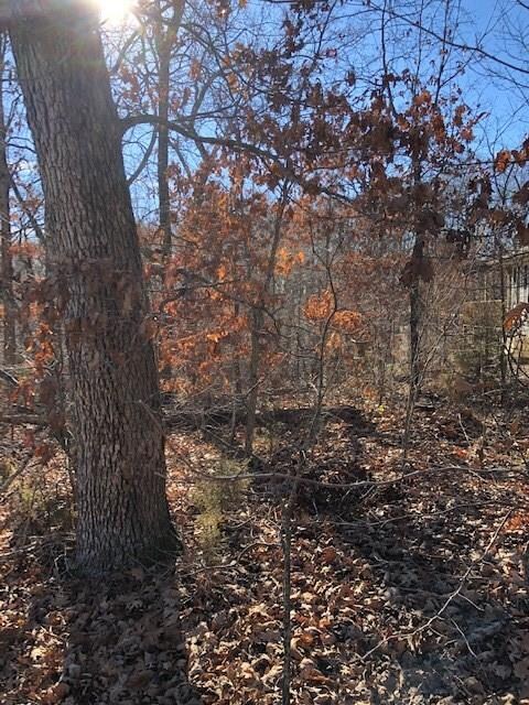 0 York (Leeds Ln) Dr unit 1100620, Bella Vista, AR 72714 - photo 3