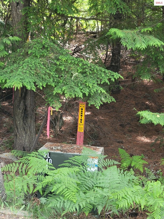 nna Rising Hawk Ridge, Sandpoint, ID 83864 - photo 6