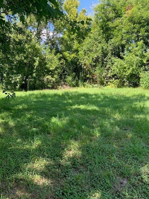 00003 Apache St, Houston, TX 77028 - photo 4