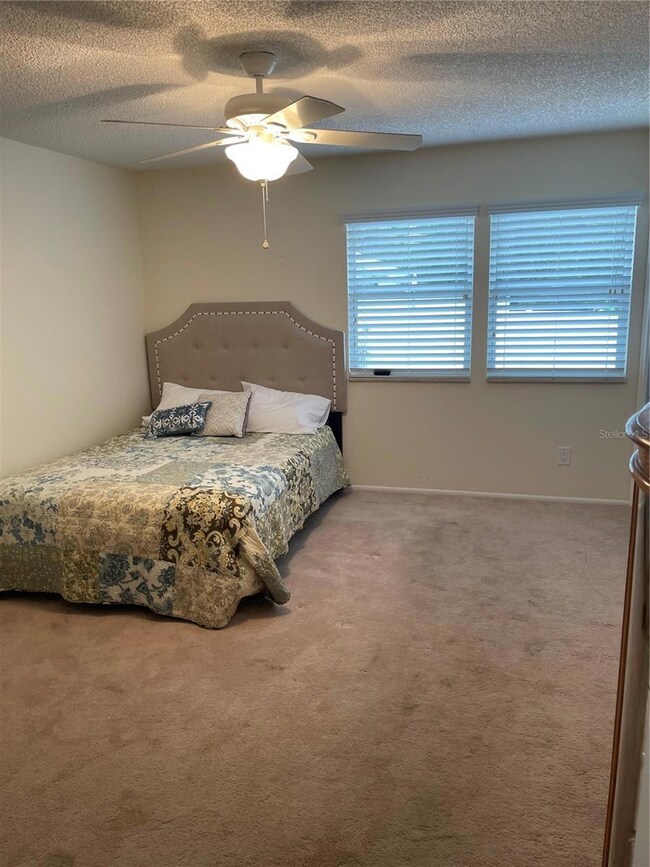 343 Hibiscus Dr unit 118, Palm Harbor, FL 34684 - photo 3