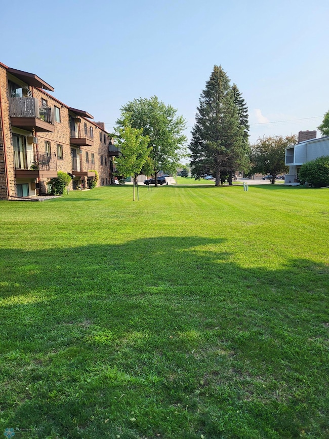 Yard in summer
