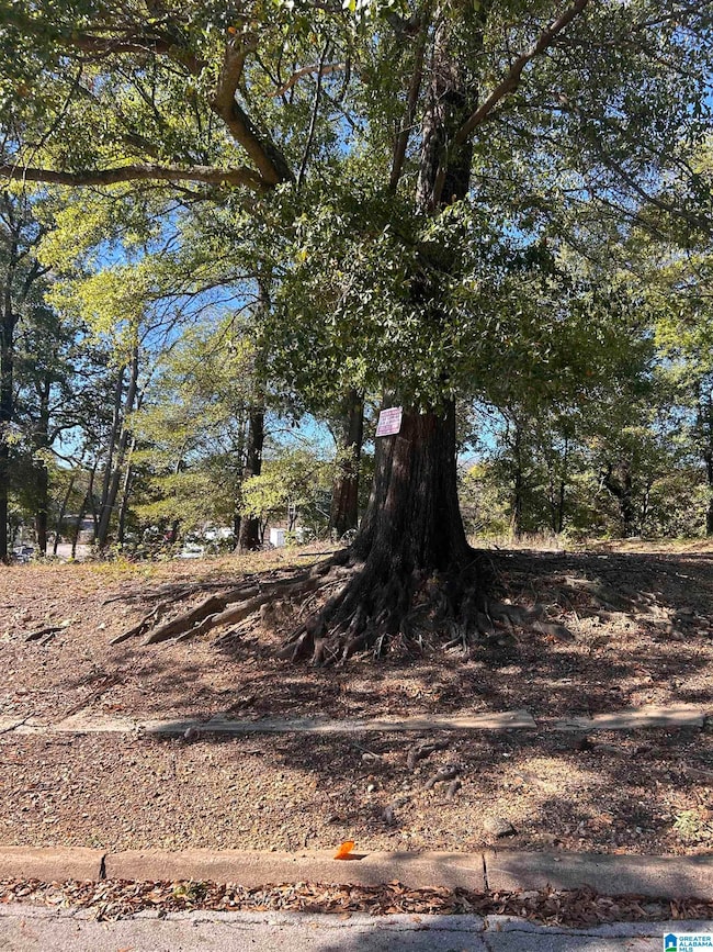 1214 21st Place N unit 54 55, Birmingham, AL 35234 - photo 3