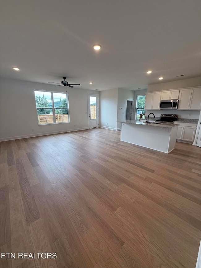 8710 Chapman Trace Way, Knoxville, TN 37920 - photo 4