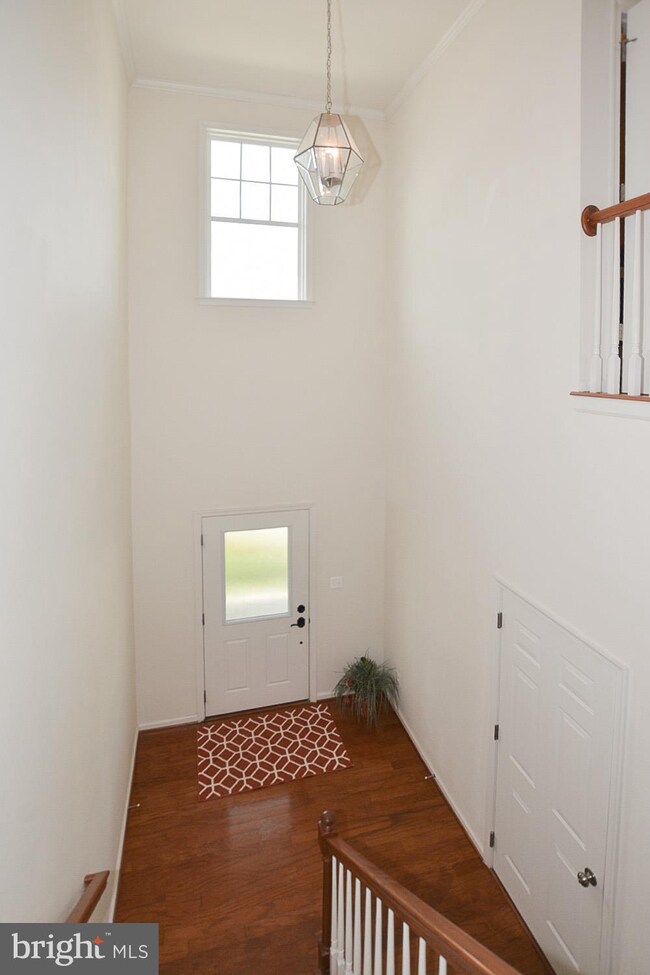 41935 Stoneyford Terrace, Aldie, VA 20105 - photo 3