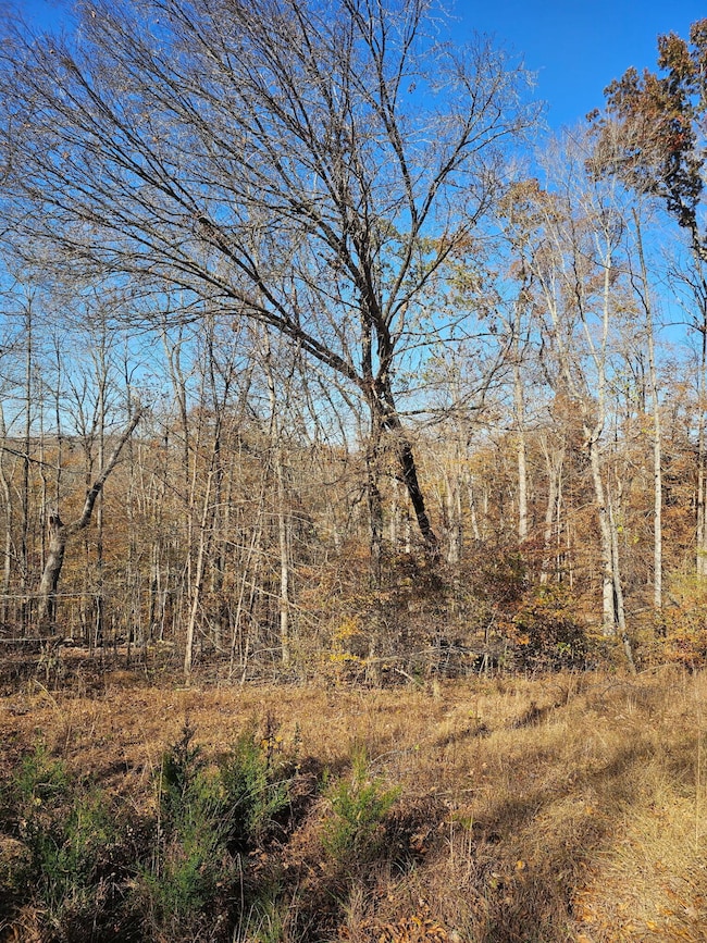 0 Lantern Way, Jamestown, KY 42629 - photo 4