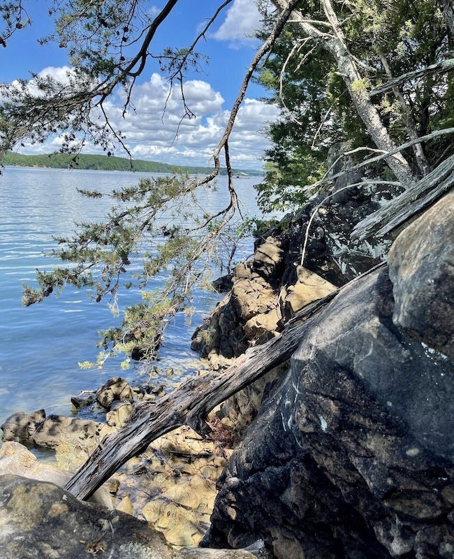 0 Sky Way, Dandridge, TN 37725 - photo 6