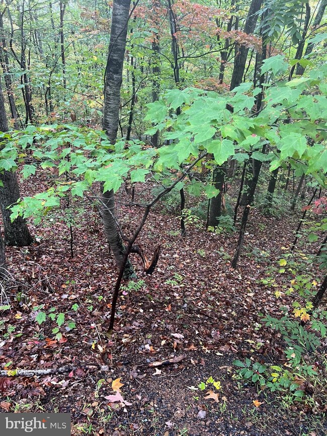 0 Dale Lot 18, Basye, VA 22810 - photo 2