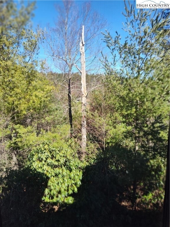 491 Waterside Dr unit Adirondack 5, Blowing Rock, NC 28605 - photo 2