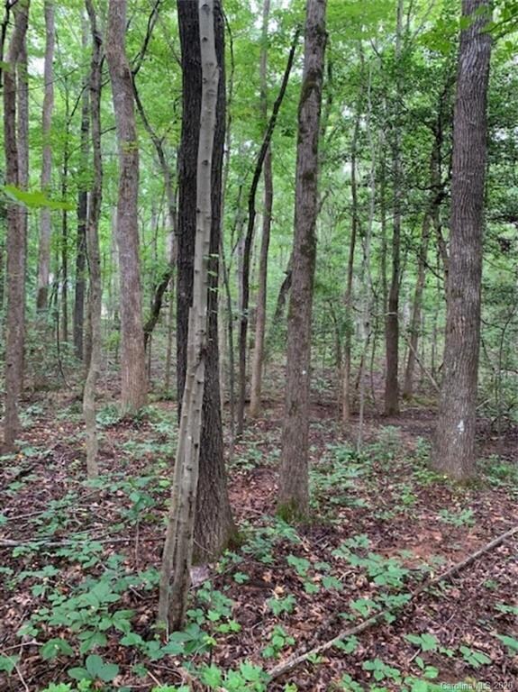 TBD Arabian Dr unit 82-83, Cedar Grove, NC 27205 - photo 4