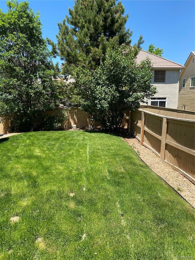 4251 Cliffrose Ln, Highlands Ranch, CO 80130 - photo 3