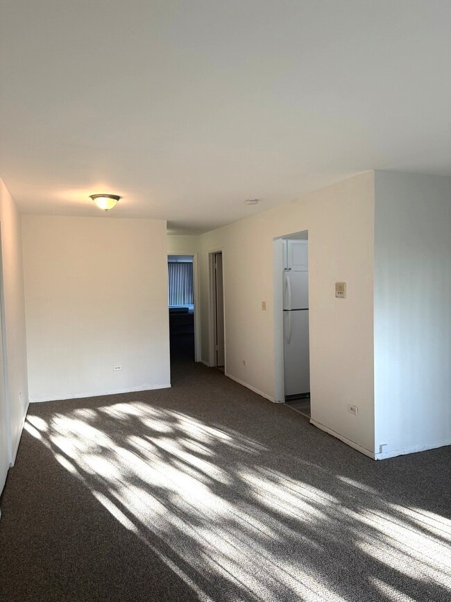 271 Northgate Pkwy unit E, Wheeling, IL 60090 - photo 2