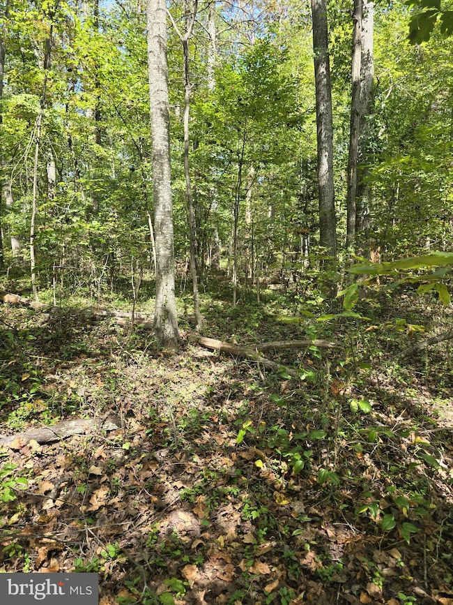 0 Poor House Rd unit VAMA2002480, Madison, VA 22727 - photo 4