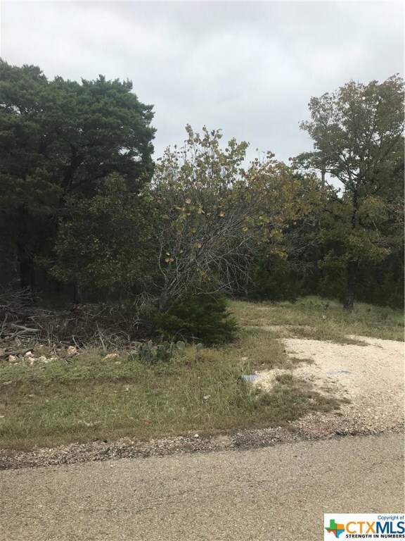 15752 Salado Dr, Temple, TX 76502 - photo 5