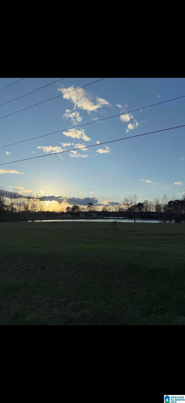 242 Lokey Dr, Wilsonville, AL 35186 - photo 5