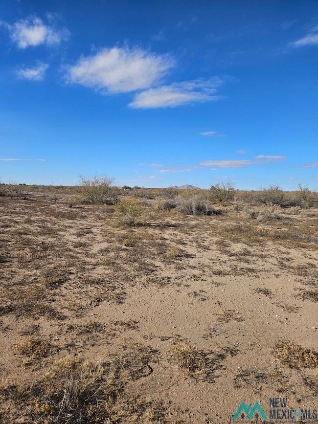 3075 Elote Rd SW, Deming, NM 88030 - photo 3