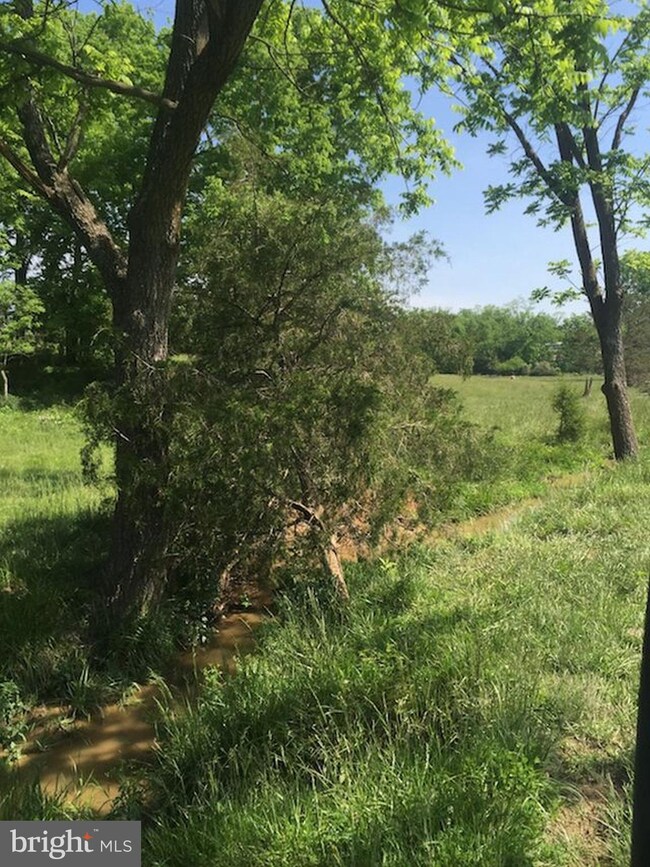 0 Not On File unit 1003289369, Maurertown, VA 22644 - photo 7