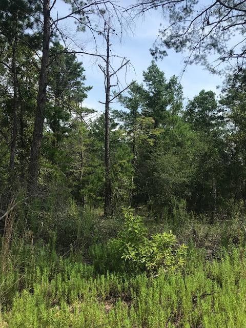 TBD Un-Named, Defuniak Springs, FL 32434 - photo 2