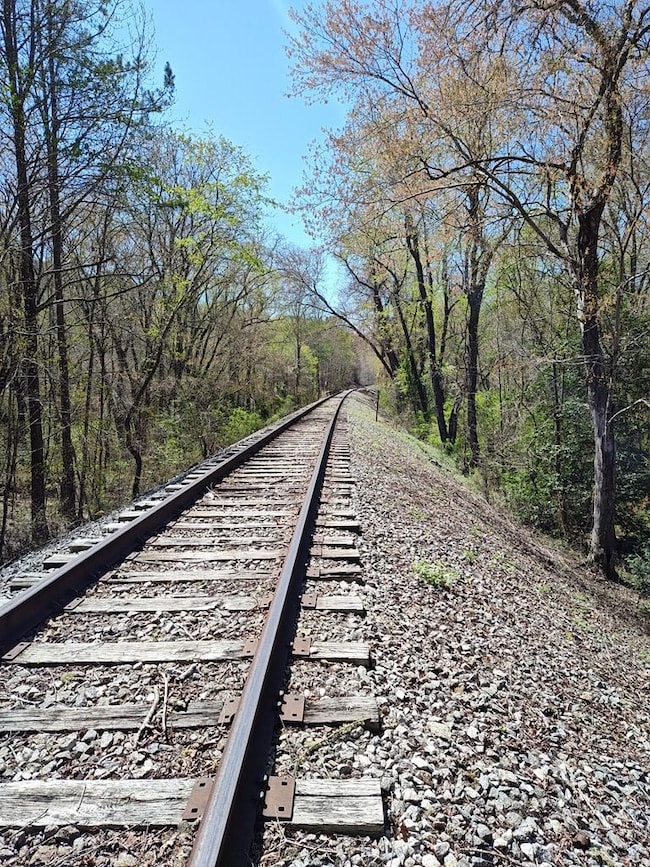Historic TN Valley Railroad