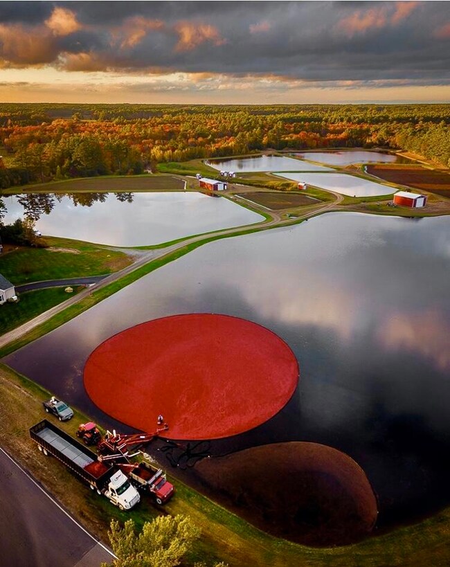 45 Bramble Path, Marstons Mills, MA 02648 - photo 5